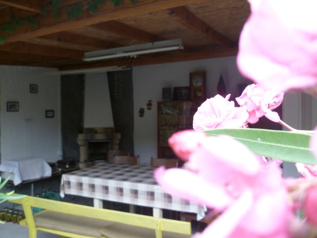 Stai Za Gosti Venera Hotel Hisarya Bagian luar foto