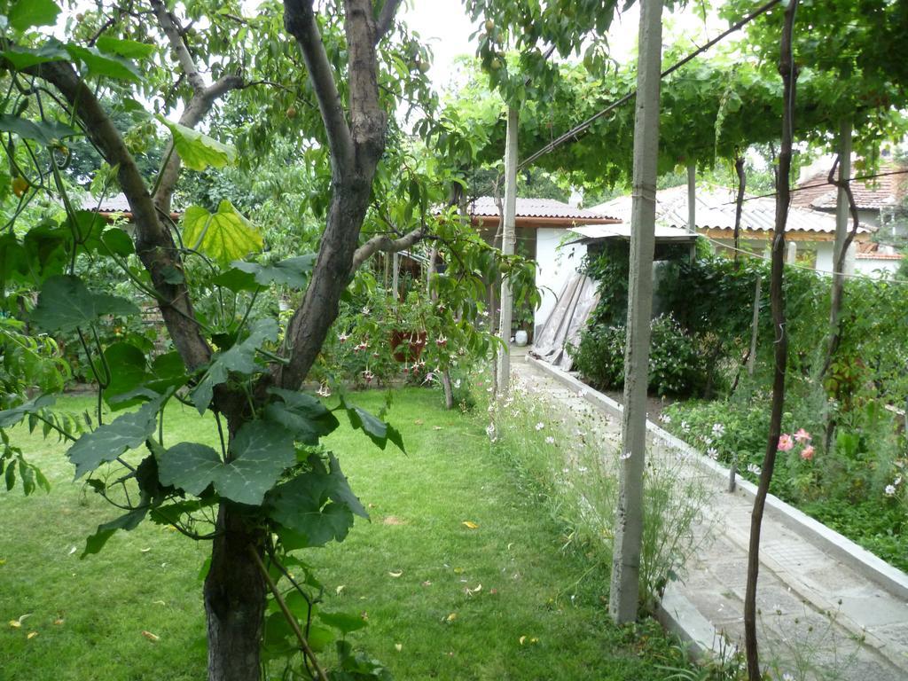 Stai Za Gosti Venera Hotel Hisarya Bagian luar foto