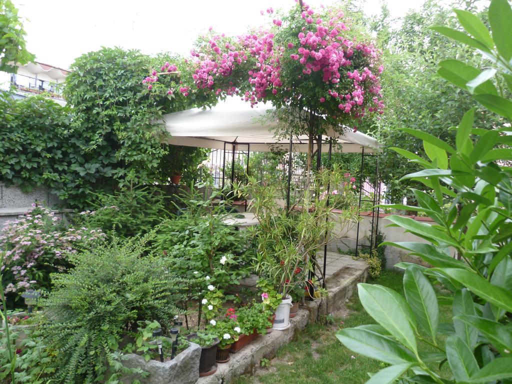 Stai Za Gosti Venera Hotel Hisarya Bagian luar foto