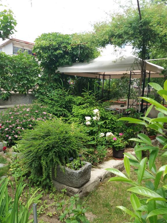 Stai Za Gosti Venera Hotel Hisarya Bagian luar foto